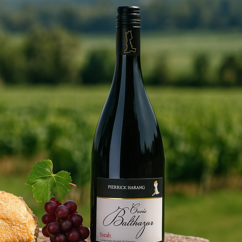 Pierrick Harang Cuvee Balthazar CRD Syrah 2020 Languedoc-Roussillon, 750ml