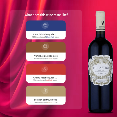 Cantine due Palme Pillastro Primitivo 2022 Puglia, 750ml