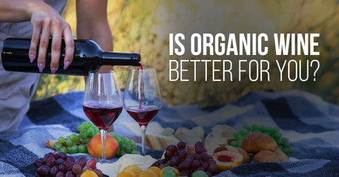 Is Organic Wine Better For You?