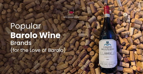 7 Popular Barolo Wine Brands (for the Love of Barolo)