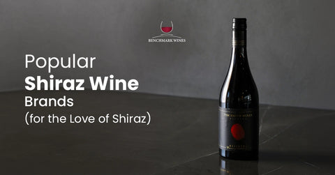 7 Popular Shiraz Wine Brands (for the Love of Shiraz)