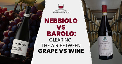 Nebbiolo Vs Barolo: Clearing the Air Between Grape Vs Wine