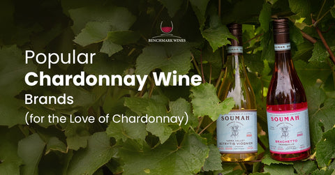 7 Popular Chardonnay Wine Brands (for the Love of Chardonnay)