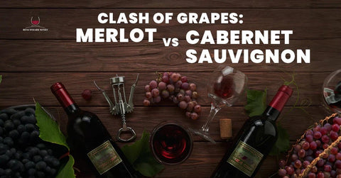 Clash of Grapes: Merlot vs Cabernet Sauvignon - Benchmark Wines