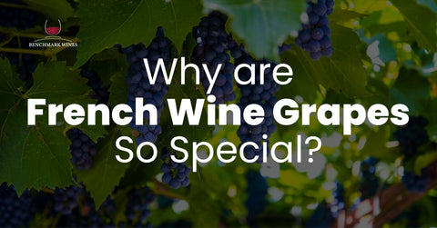 Why are French Wine Grapes So Special?