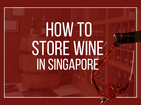 How to Store Wine in Singapore - Benchmark Wines