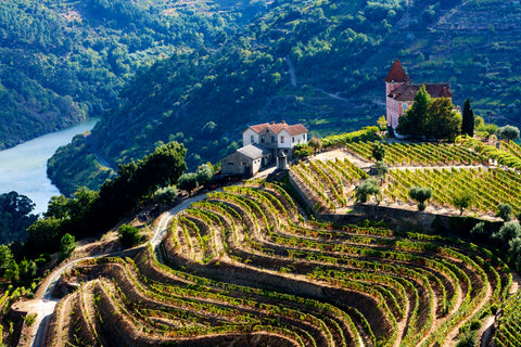 Portuguese Wines