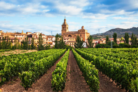 Spanish Wines