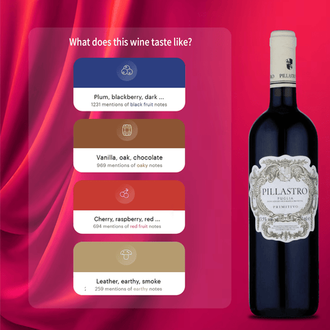 Cantine due Palme Pillastro Primitivo 2022 Puglia, 750ml - Red WineBenchmark Wines