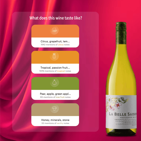 La Belle Saison Sauvignon Blanc VdF 2022, 750ml - White WineBenchmark Wines