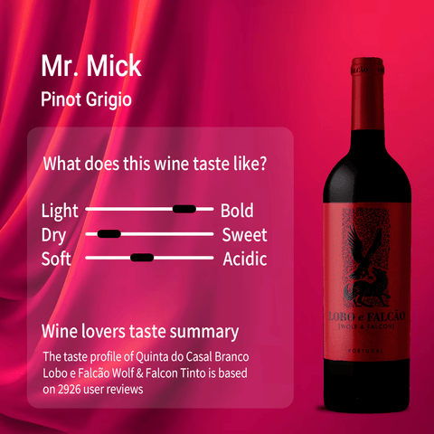 Lobo e Falcao Tinto Tejo 2021, 750ml - Red WineBenchmark Wines