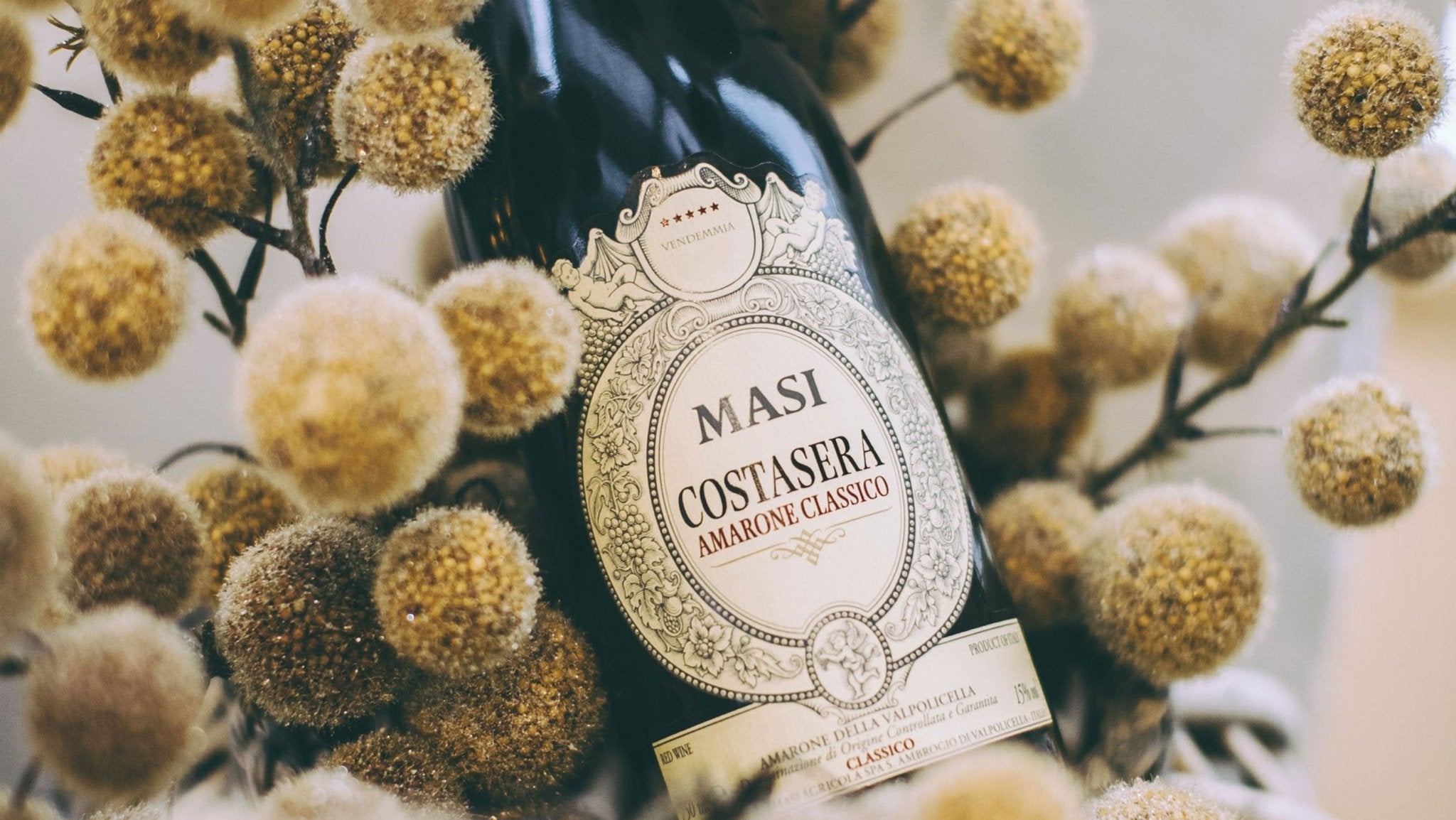 Masi Amarone 'Classico Costasera DOCG' Corvina 2019 (Red Wine