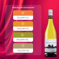 Split Rock Sauvignon Blanc Nelson 2022, 750ml - White WineBenchmark Wines