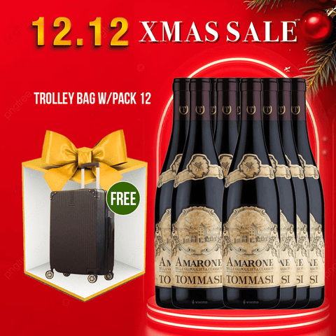 Tommasi Amarone della Classico DOCG Corvina 2020 Veneto, 750ml - Red WineBenchmark Wines