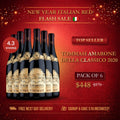 Tommasi Amarone della Classico DOCG Corvina 2020 Veneto, 750ml - Red WineBenchmark Wines